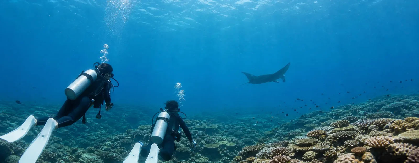 石垣の青い海とサンゴ礁