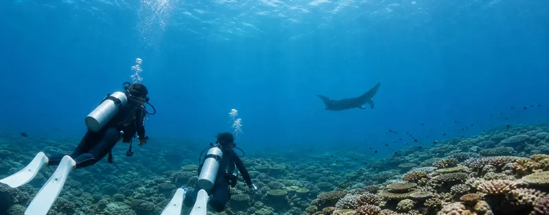 青い海とサンゴ礁