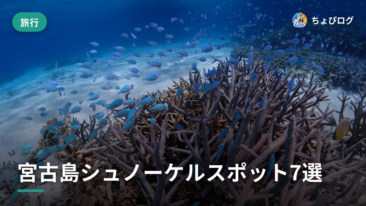 宮古島のシュノーケル、住民が実際に泳いで選んだ7スポット