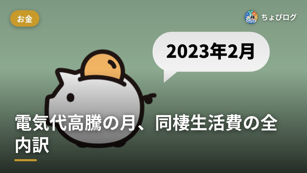 【家計簿公開】電気代高騰の2023年2月、20代後半の同棲生活費っていくらかかった？