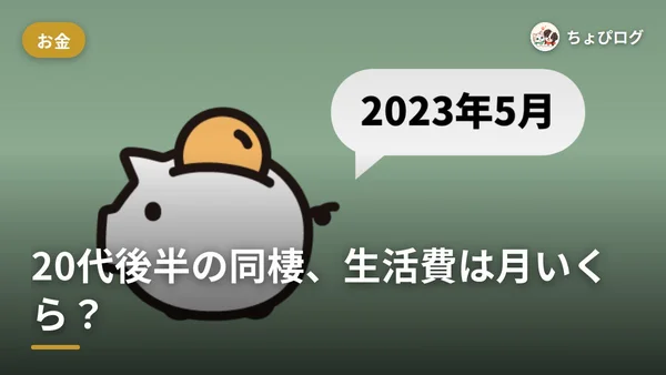 20代後半の同棲、1ヶ月いくら？二人暮らしの家計簿を全項目まるごと公開（2023年5月当時）のサムネイル