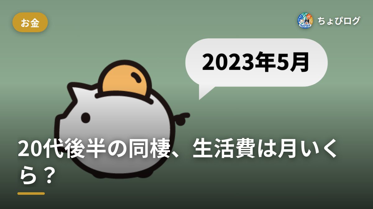 20代後半の同棲、1ヶ月いくら？二人暮らしの家計簿を全項目まるごと公開（2023年5月当時）