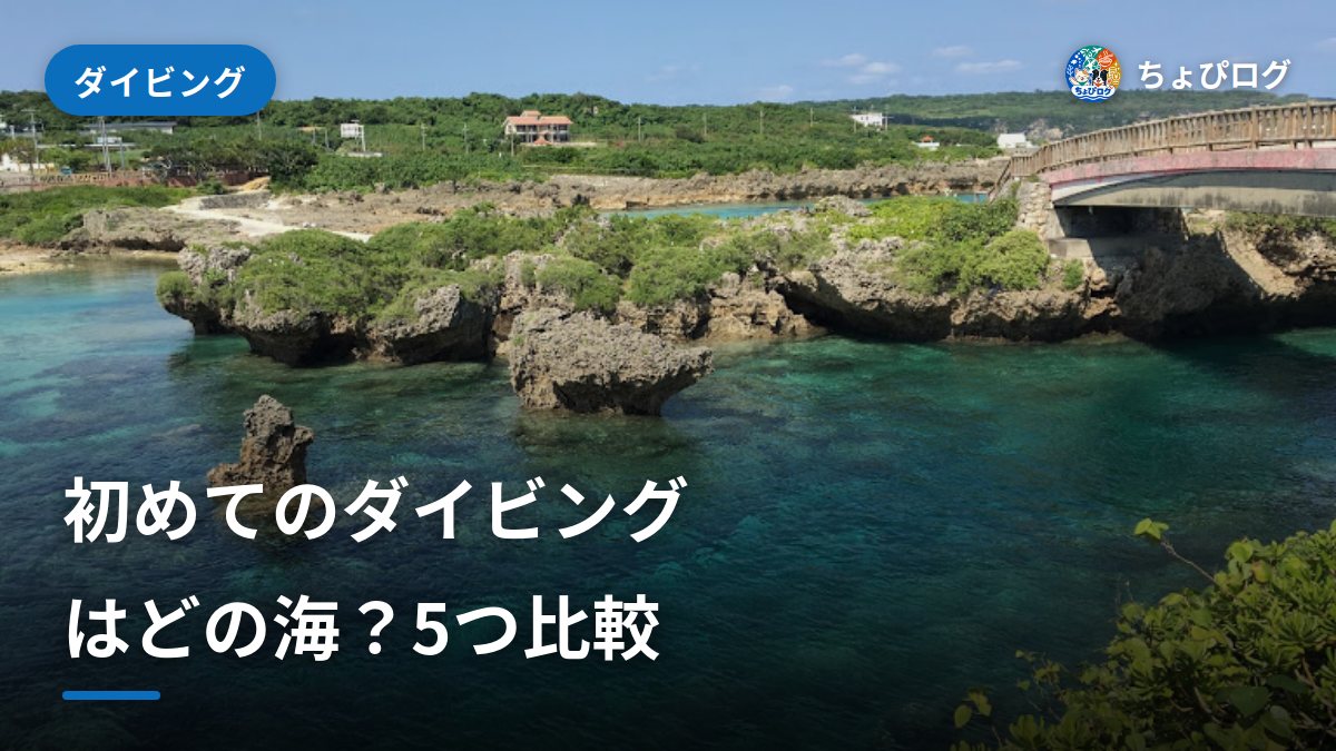 初めてのダイビングはどの海？5つの海を正直に比べた