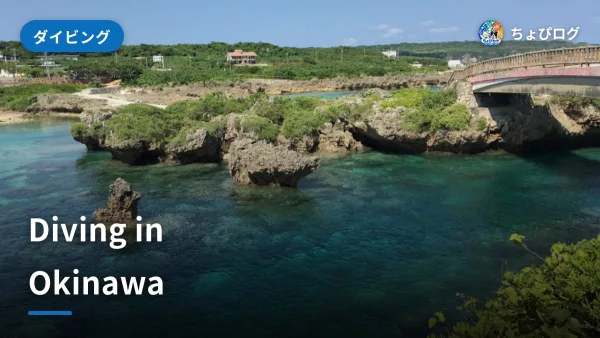 Diving in Okinawa: Miyako, Ishigaki, Kerama and the Main Islandのサムネイル