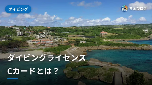 ダイビングライセンス（Cカード）とは？種類と取り方をやさしくのサムネイル