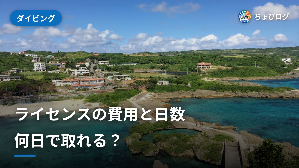 ダイビングライセンスの費用と日数｜何日で取れる？のサムネイル