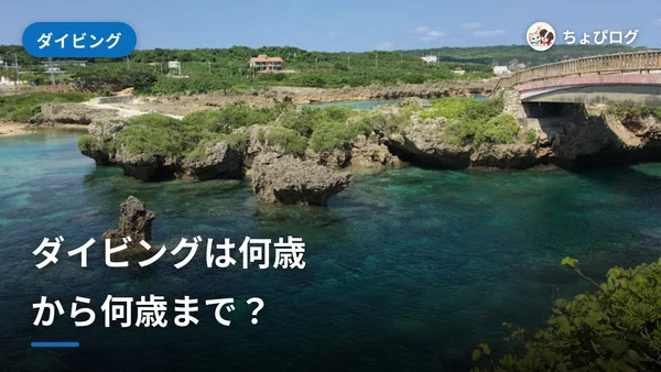 ダイビングは何歳から？子どももシニアも、答えはここのサムネイル