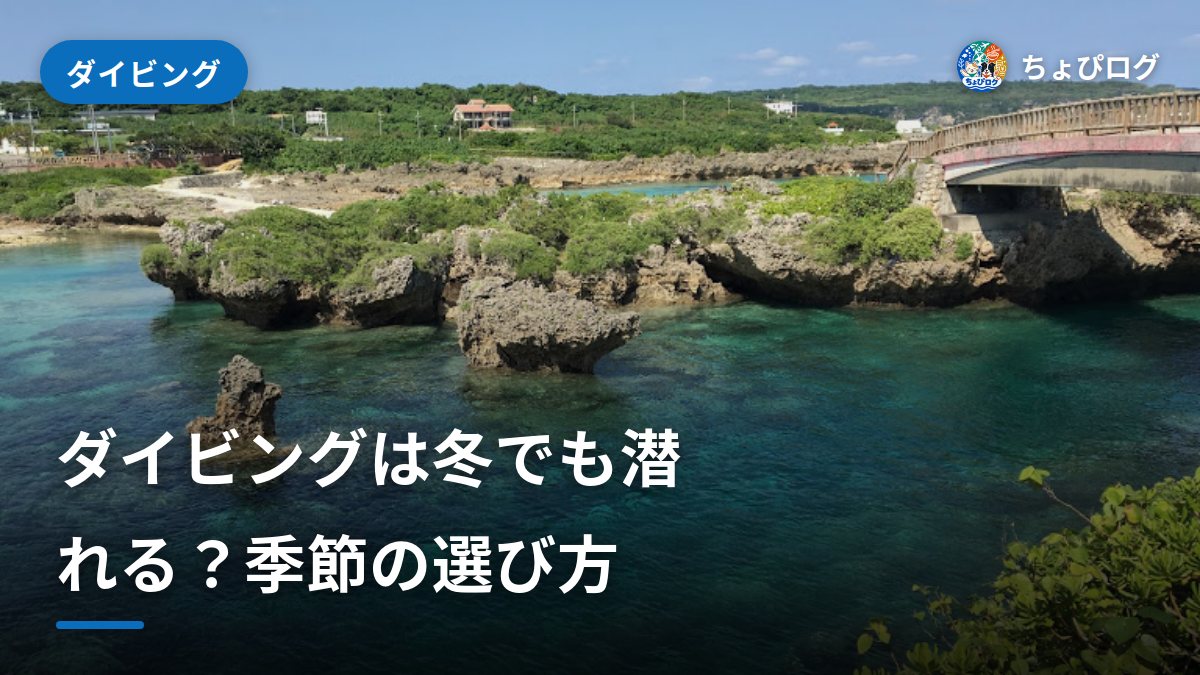 ダイビングのベストシーズンは？冬・雨・台風、正直な話のサムネイル