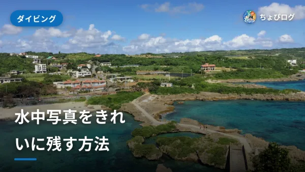 水中写真、どう残す？初めての日の正解のサムネイル