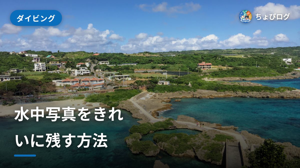水中写真、どう残す？初めての日の正解のサムネイル