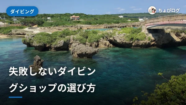 安心して任せられるダイビングショップの選び方｜予約前の質問リストのサムネイル
