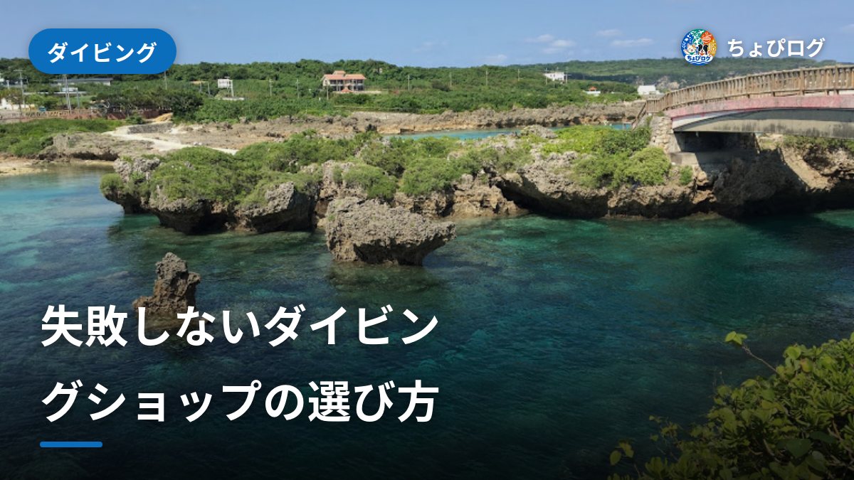 安心して任せられるダイビングショップの選び方｜予約前の質問リスト
