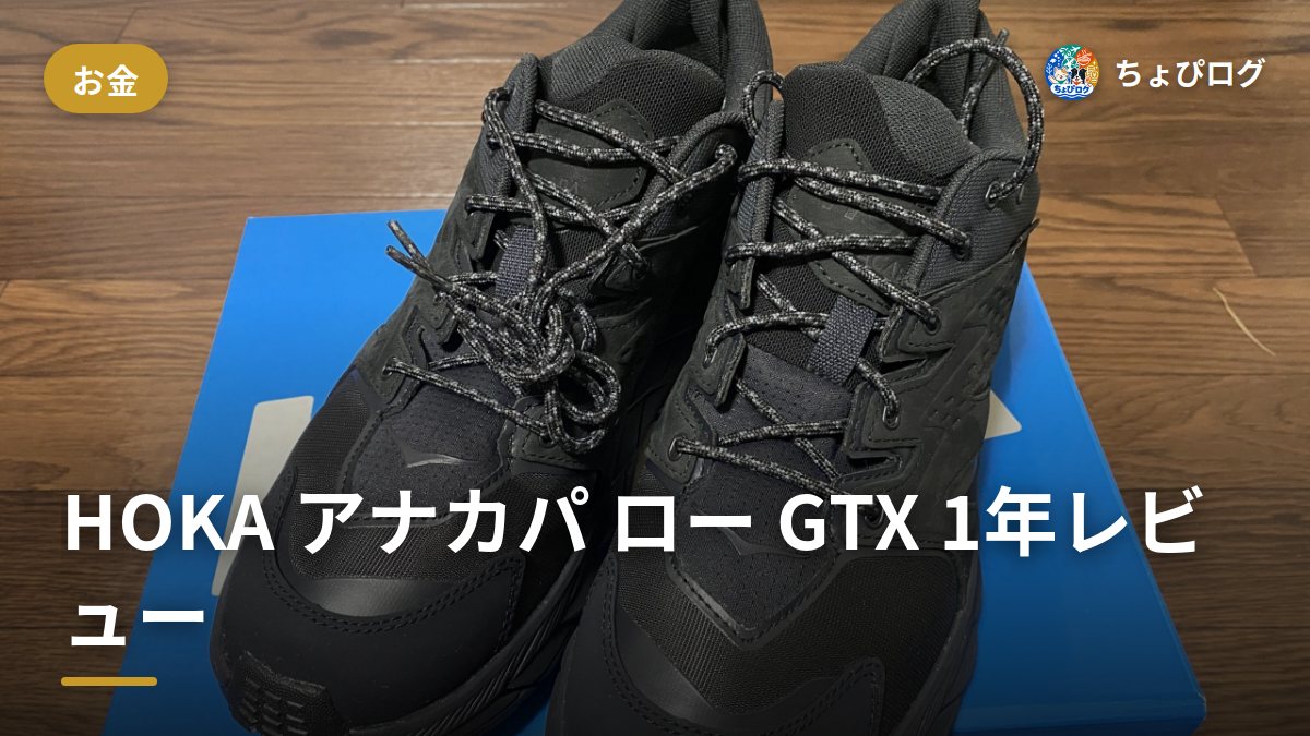 HOKA アナカパ ロー GTX、1年履いてわかった疲れにくさと防水力