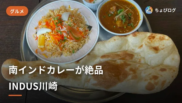 【川崎】カレーランチが本格派！南インド料理INDUS（インダス）のビリヤニ・キングスランチを実食のサムネイル