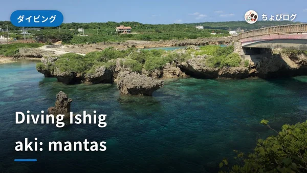 Ishigaki Diving: Manta Rays, Seasons and How to Do It Rightのサムネイル
