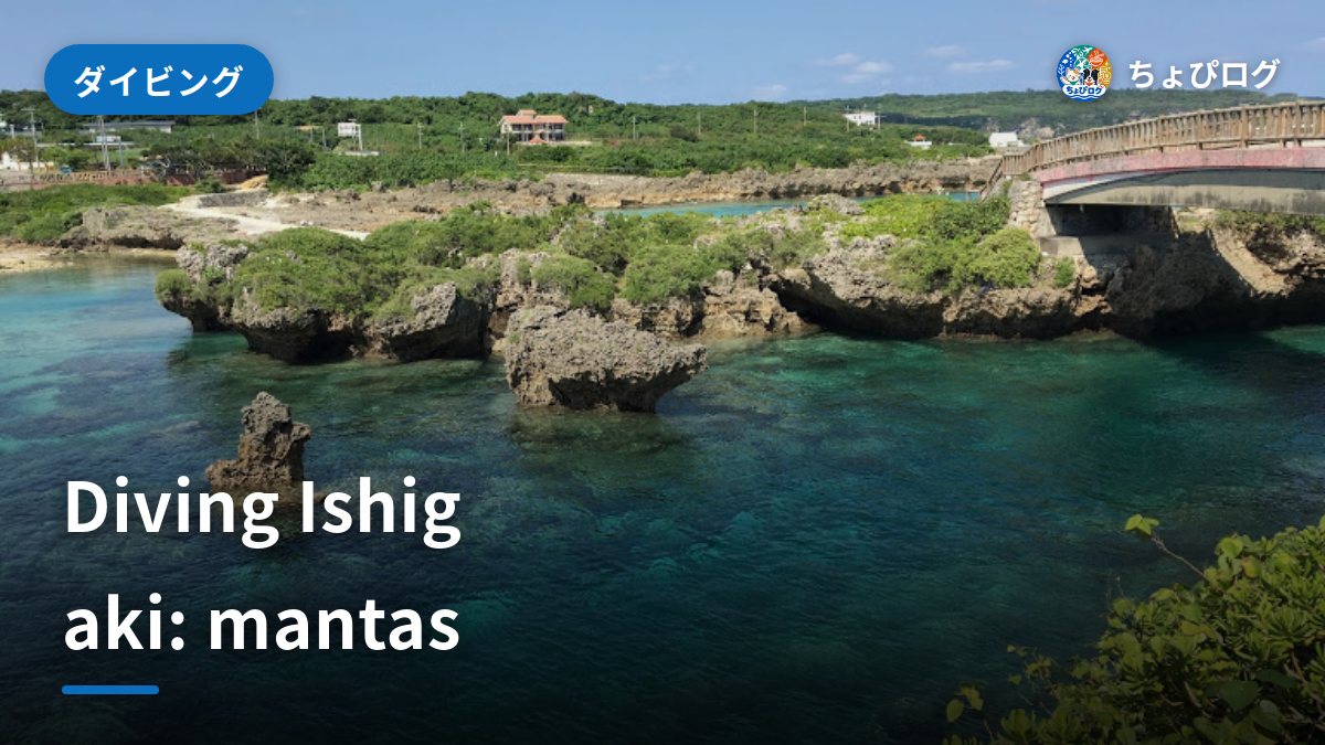 Ishigaki Diving: Manta Rays, Seasons and How to Do It Right