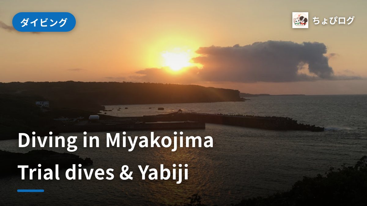 Miyakojima Diving Guide: Trial Dives, Yabiji Reef and Costs