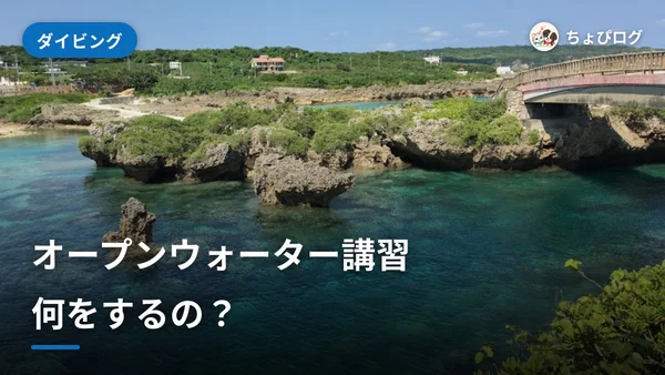 オープンウォーター講習では何をする？学科・プール・海の中身のサムネイル