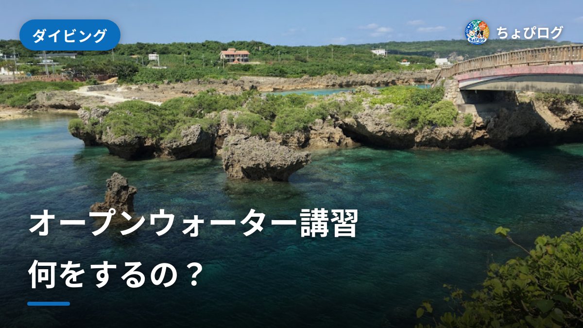 オープンウォーター講習では何をする？学科・プール・海の中身のサムネイル