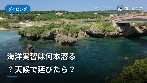 オープンウォーターの海洋実習｜何本潜る？天候で延びたら？のサムネイル