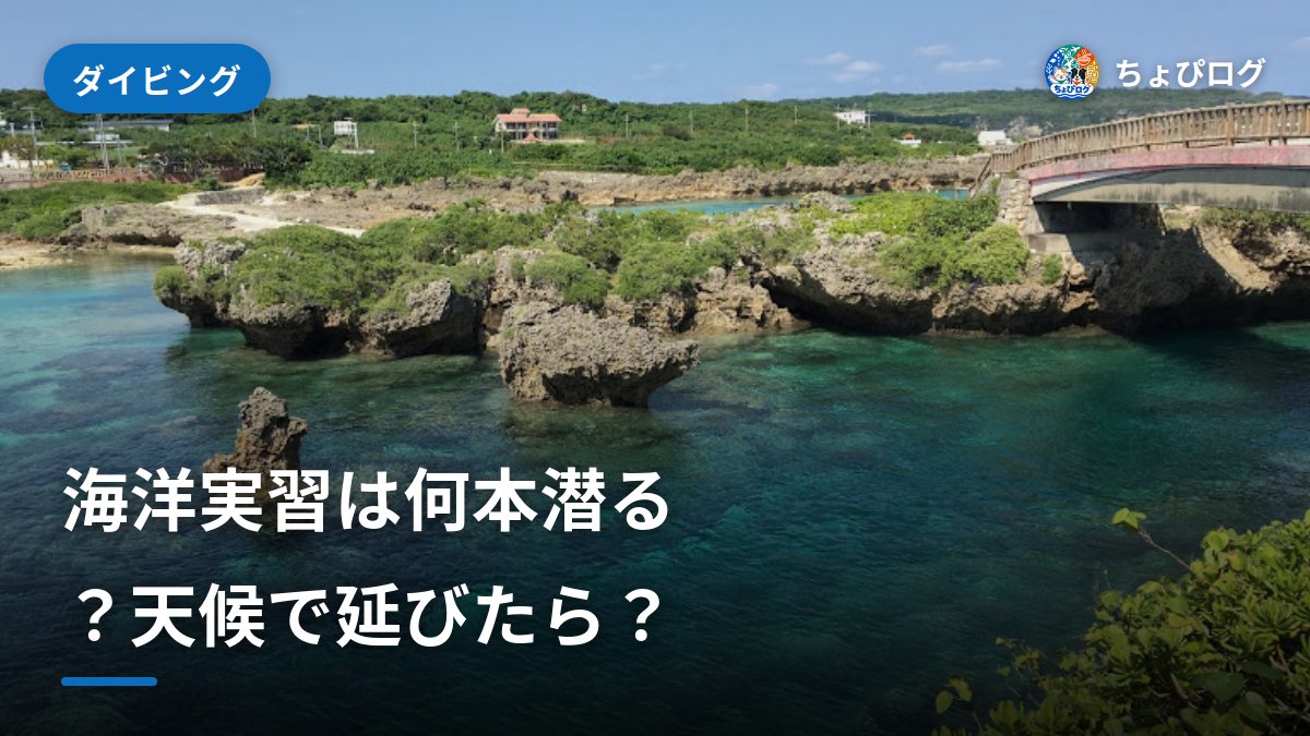 オープンウォーターの海洋実習｜何本潜る？天候で延びたら？