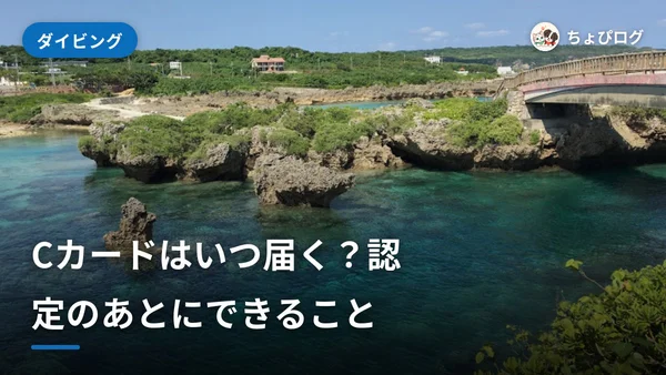 オープンウォーター認定のあと｜Cカードが届くまでと最初のダイブのサムネイル