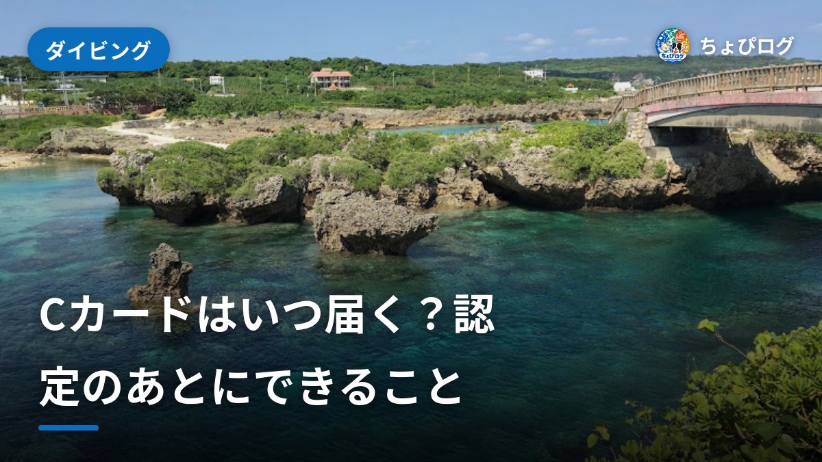 オープンウォーター認定のあと｜Cカードが届くまでと最初のダイブ