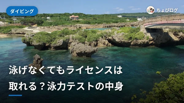 ダイビングのライセンス講習に泳力テストはある？泳げない人の準備のサムネイル