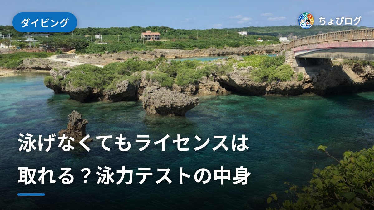 ダイビングのライセンス講習に泳力テストはある？泳げない人の準備のサムネイル