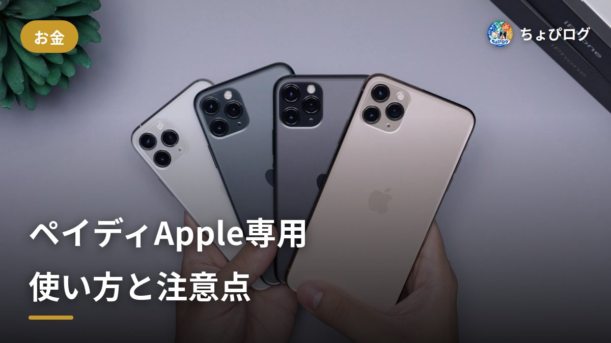 ペイディあと払いプランApple専用の使い方｜申し込みから店舗での支払いまで手順をまとめましたのサムネイル