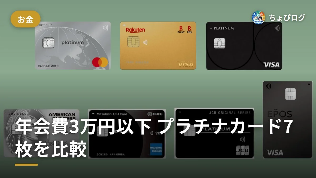 プラチナカードって年会費高すぎ？3万円以下のおすすめ7枚を並べてみた