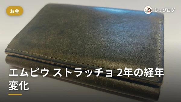 エムピウ ストラッチョを2年使ったら、革はこう育ったのサムネイル