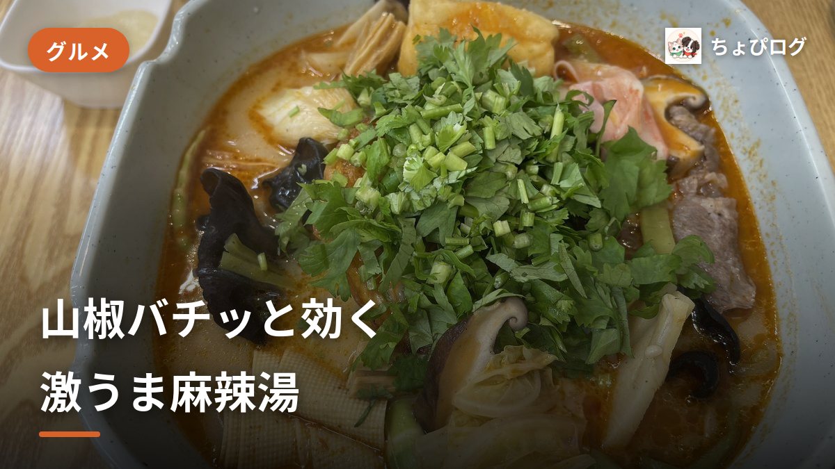 【川崎】三寅馬 重慶麻辣燙を実食！山椒がバチッと効く激うま麻辣湯