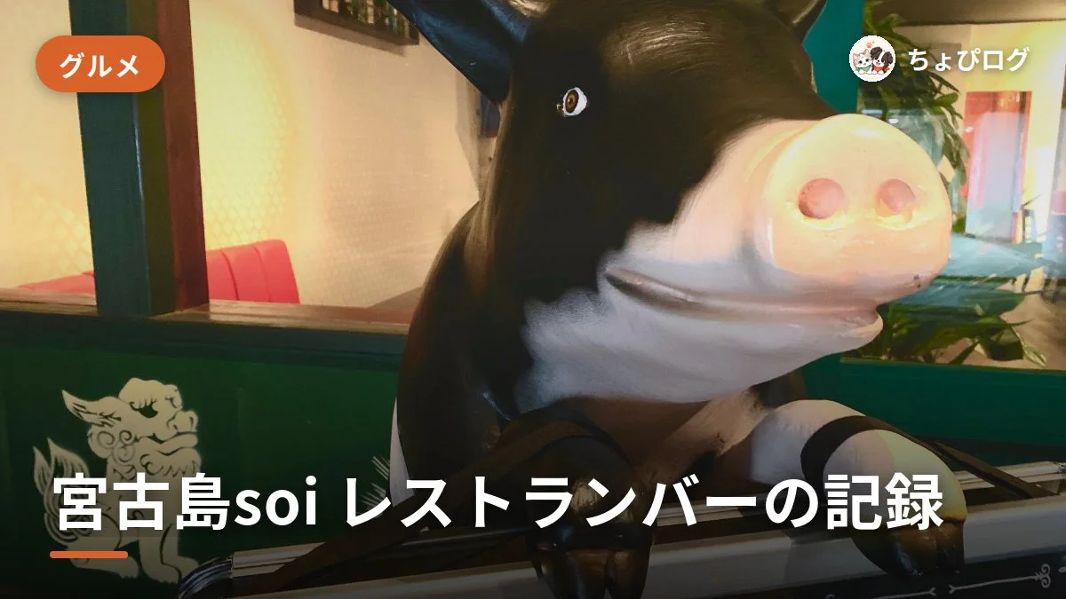 宮古島のsoi（ソイ）、お酒もごはんも楽しめるレストランバーに行ってきた