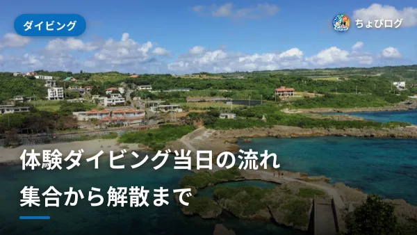 体験ダイビング当日の流れ｜集合から解散まで初めてでも安心のサムネイル