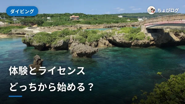体験ダイビングとライセンス、どっちから始める？ファンダイビングとの違いのサムネイル