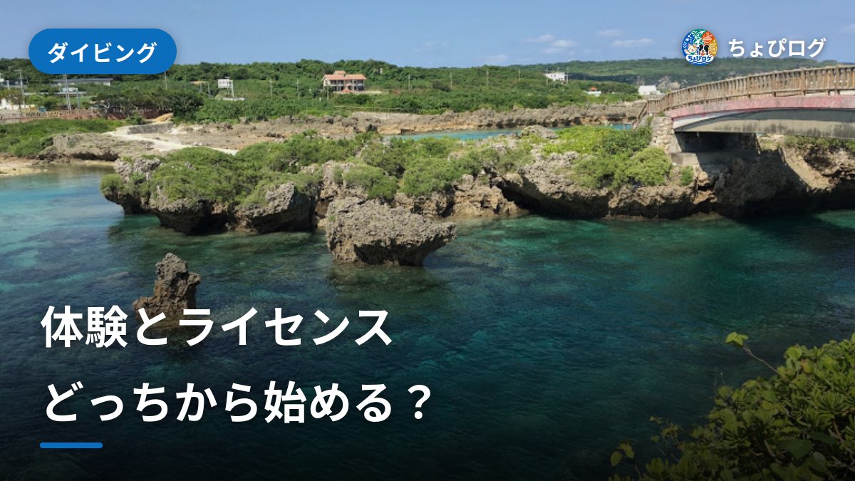 体験ダイビングとライセンス、どっちから始める？ファンダイビングとの違いのサムネイル