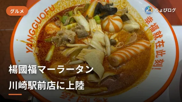 楊國福マーラータン川崎駅前店で麻辣湯を食べまくった｜9/4オープン・具材選び放題で20%OFFものサムネイル