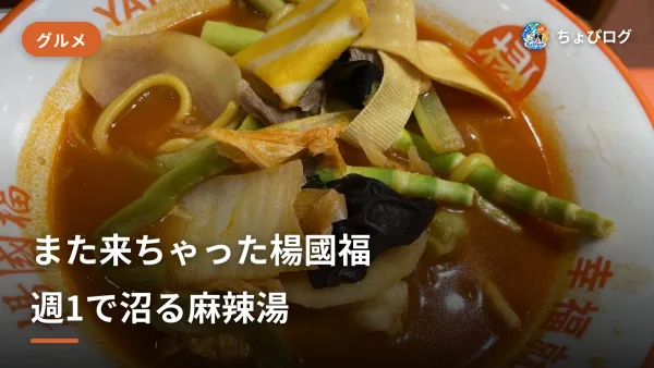 楊國福マーラータン川崎駅前店に週1で通ってる｜2回目のどハマり麻辣湯リピートレビューのサムネイル