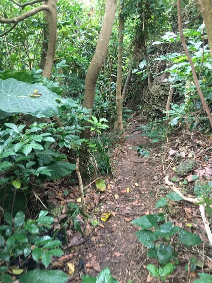 ヌドクビアブへ続く細い一本道